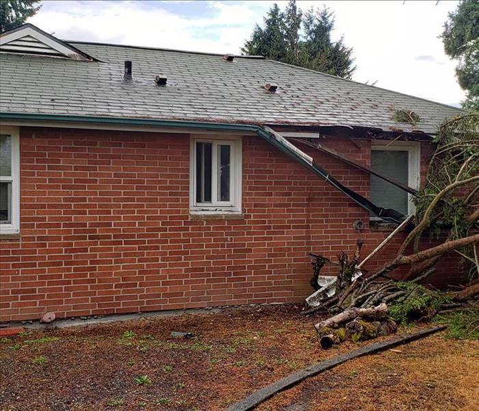 University Place wind storm causes tree to fall on home.